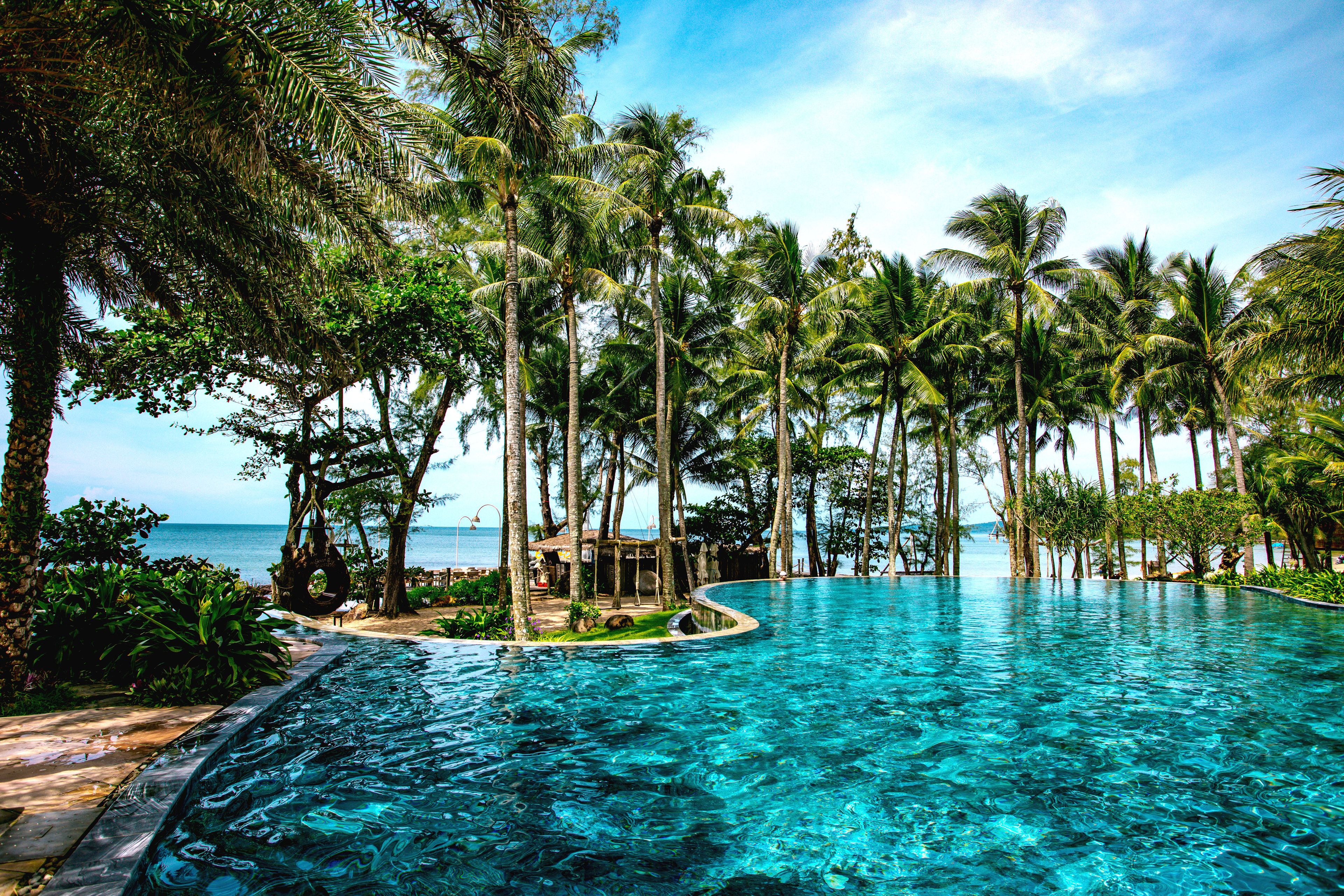 A clear blue infinity pool surrounded by palm trees and a view of the ocean.