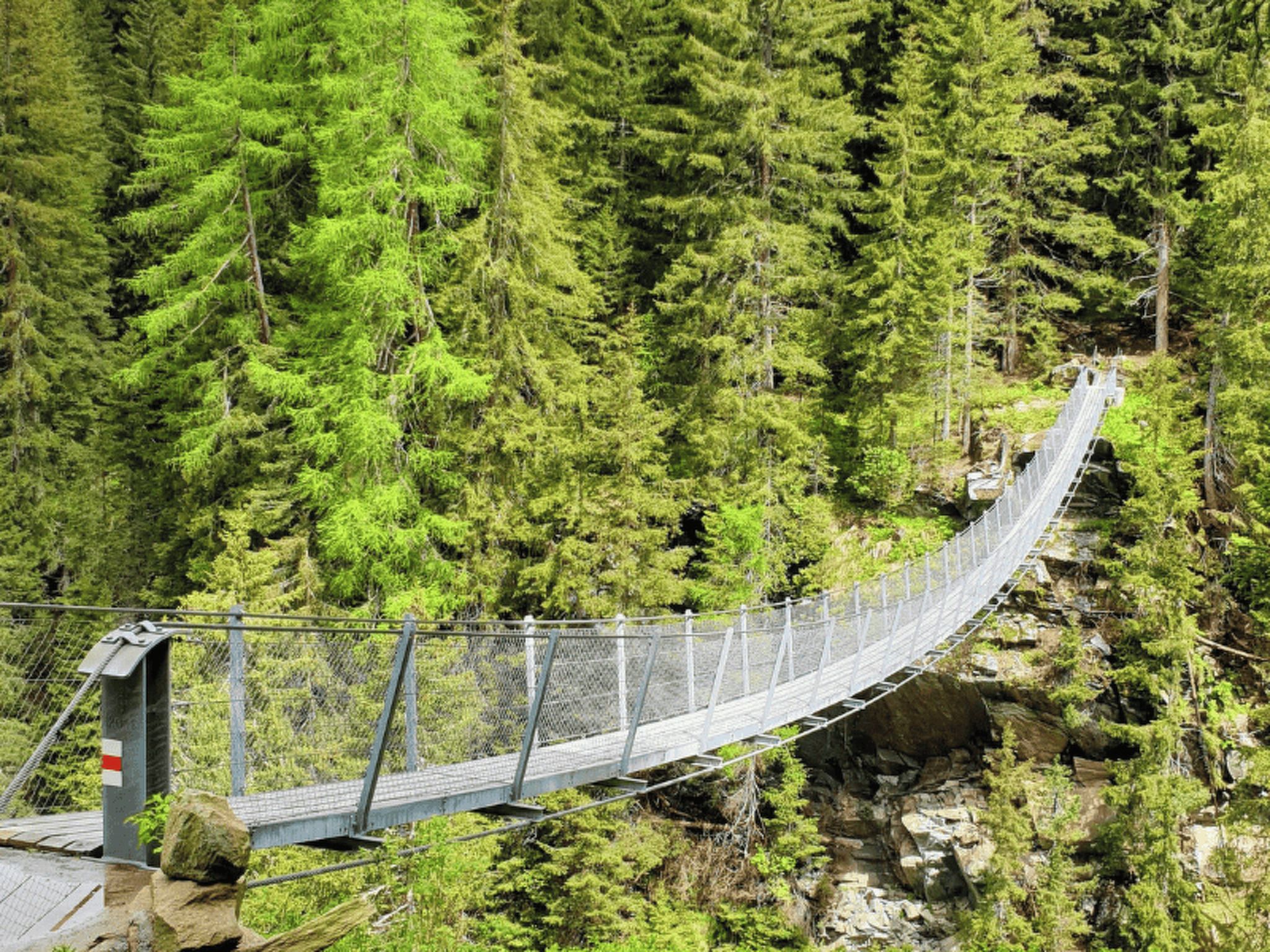 A suspension bridge in a forested area with a rocky base.