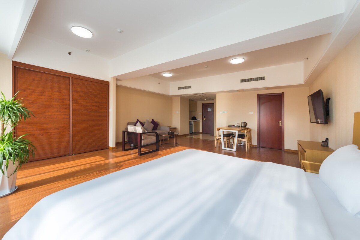 Habitación de hotel con una cama grande, un escritorio, una silla, un televisor y una planta en maceta.
