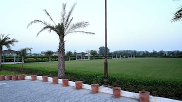 A paved area with potted plants, a palm tree, and a grassy field in the background.