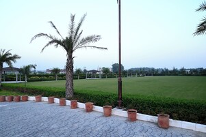 A paved area with potted plants, a palm tree, and a grassy field in the background.