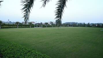 A large, open grassy field with palm trees and a distant building complex.