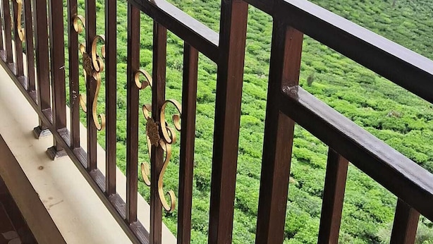 Een balkon met uitzicht op een weelderige groene theeplantage en mistige heuvels.