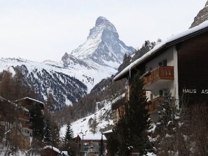 Exterior - Eagle Apartement - Zermatt by Interhome (Zermatt)