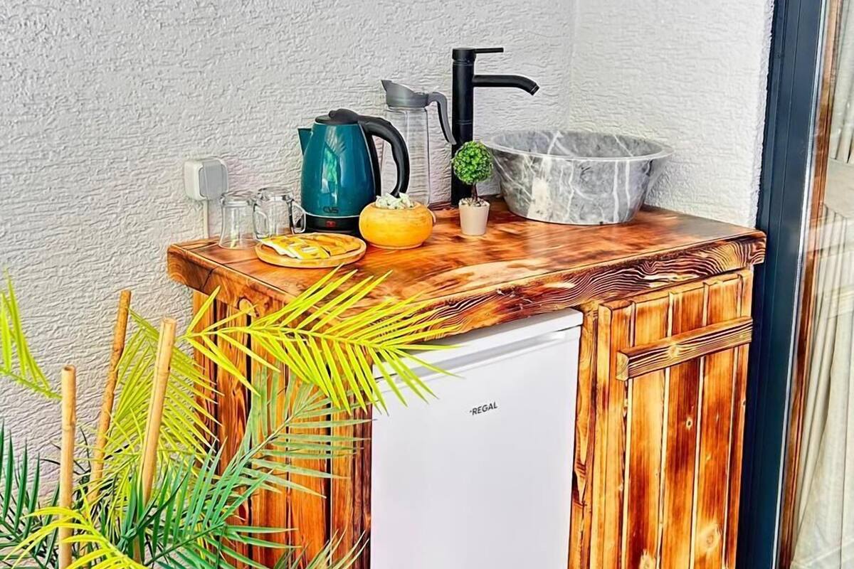 A compact kitchen with a built-in sink, a kettle, and a small potted plant.