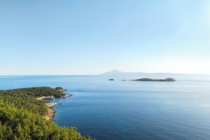 A coastal landscape with a clear view of the sea, a forested area, and distant mountains. - Helia All Seasons Apartments (Thasos)