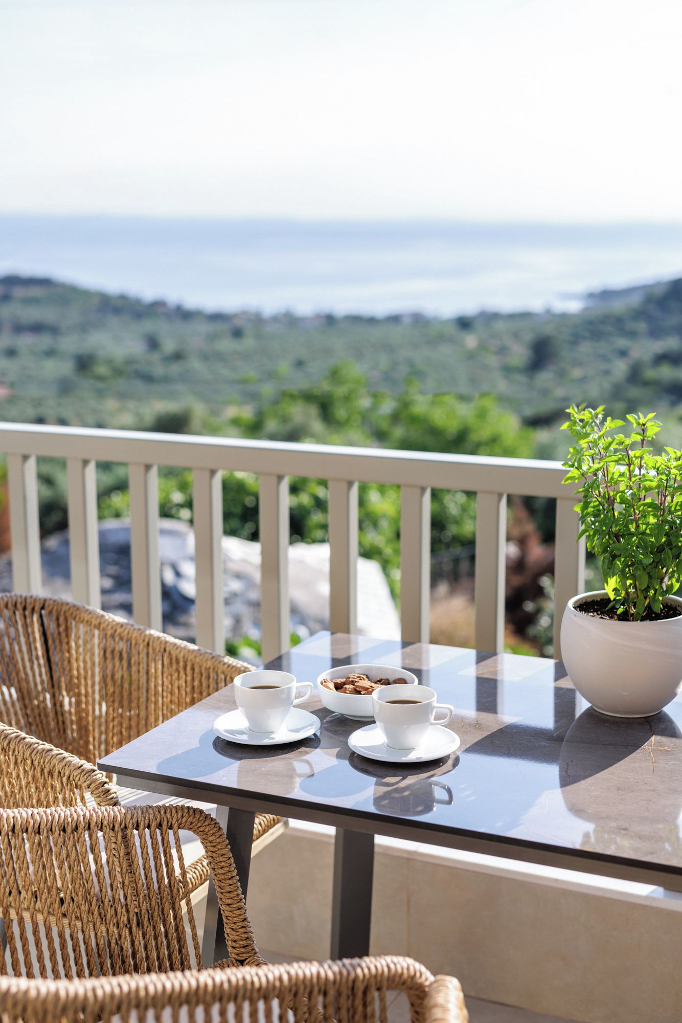 A table with two cups of coffee and a bowl of cookies, a potted plant, wicker chairs, and a view of a green landscape.