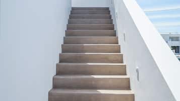 A staircase with a modern design, leading upwards.