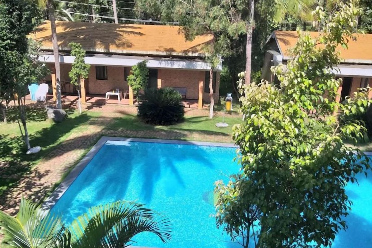 A swimming pool surrounded by greenery and a building with a tiled roof.