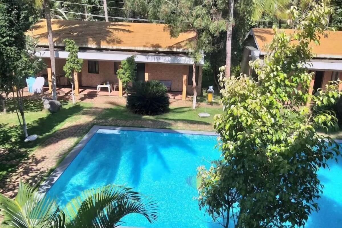 A swimming pool surrounded by greenery and a building with a tiled roof.
