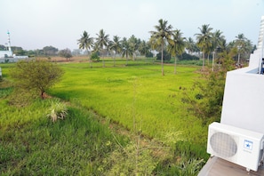 A green field with palm trees and a white building with an air conditioning unit. - Sri Sakthi Residence (Tiruvannamalai)