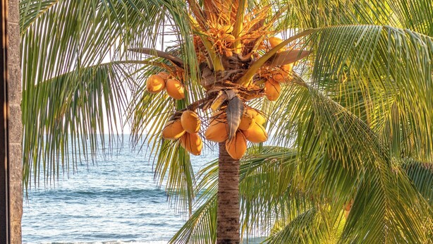 A balcony with wicker chairs and a view of the ocean. - Fishermans Resort Life (La Libertad)
