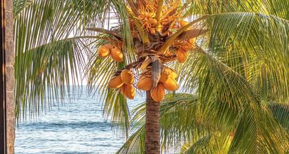 Fishermans Resort Life