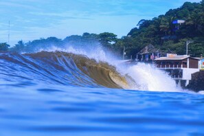 A coastal scene with a large wave crashing onto a shore, buildings, and lush greenery in the background.