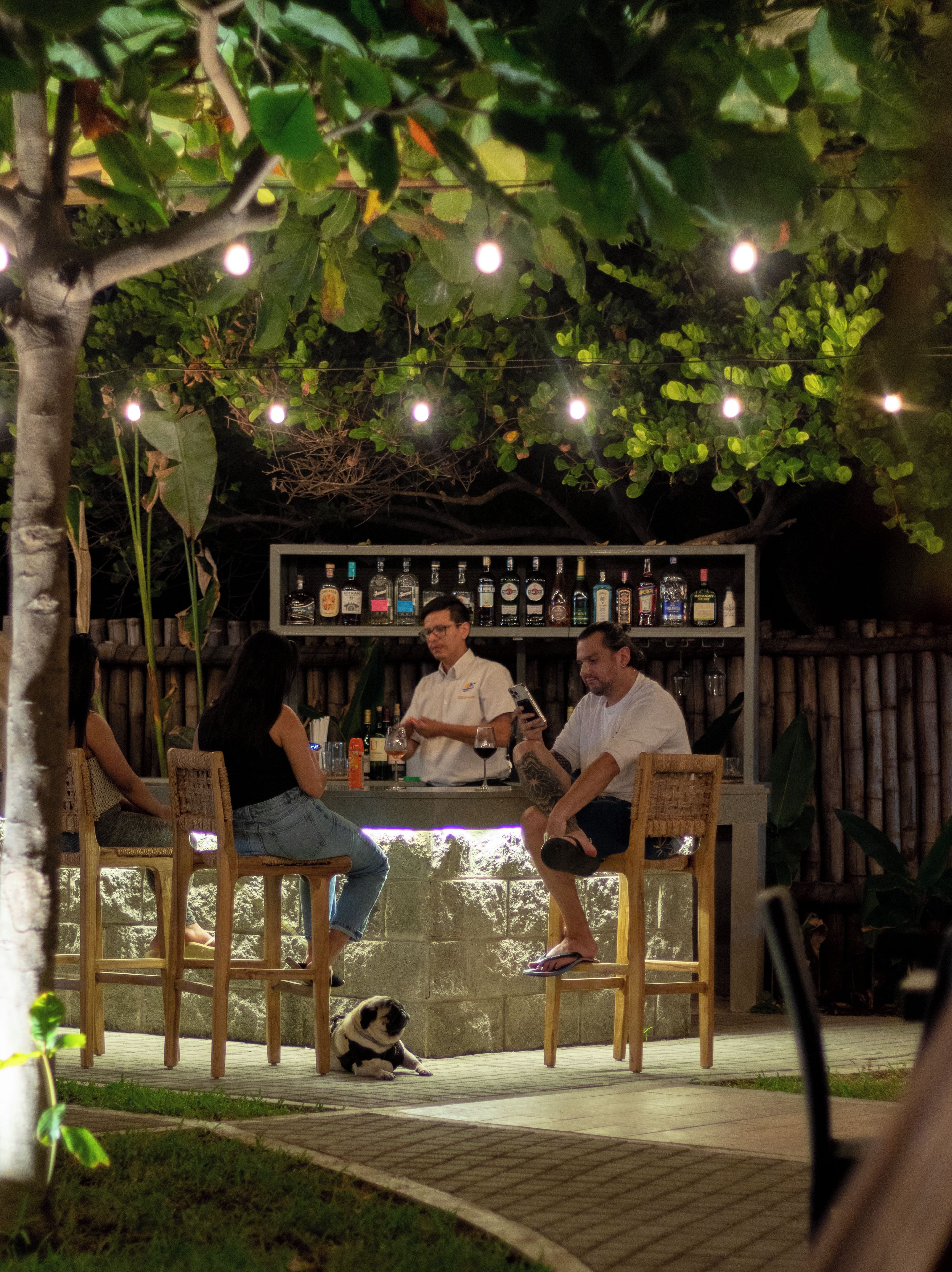 A bar area with wooden chairs, a counter with bottles, and a pug dog on the ground.