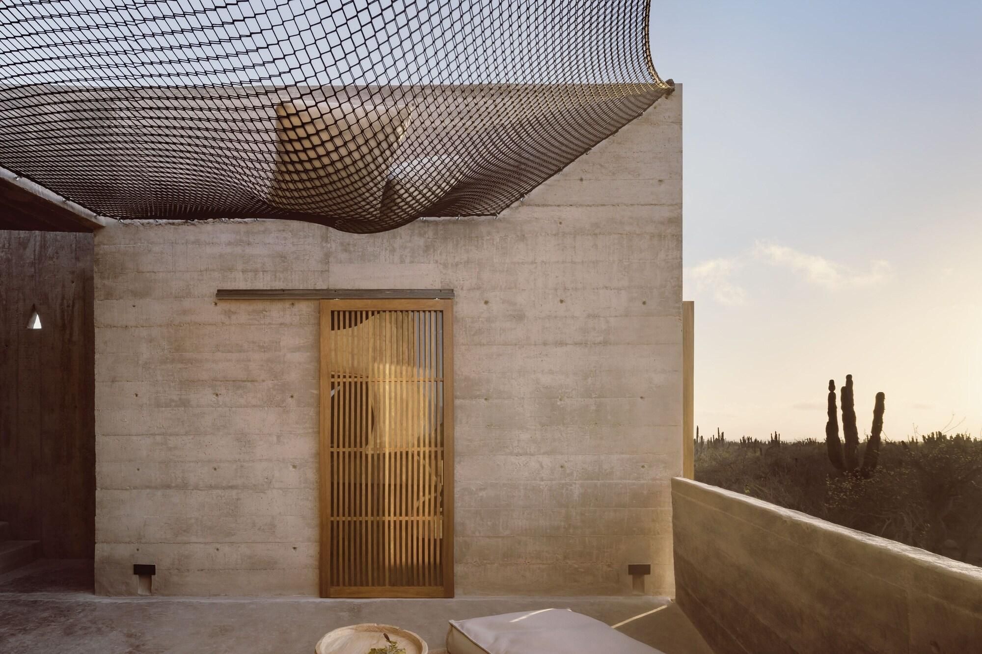 A modern building with a concrete facade, a wooden door, and a view of cacti in the background.
