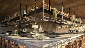 Un amplio bar con estantes altos para plantas y botellas, una barra de hormigón y sillas de madera.
