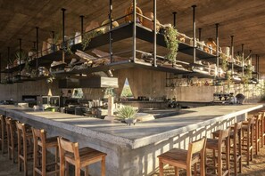Restaurant - Paradero Todos Santos (Todos Santos)