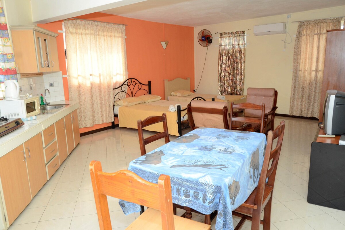 Um espaço compacto para viver, com cozinha compacta, área de refeições e um quarto.