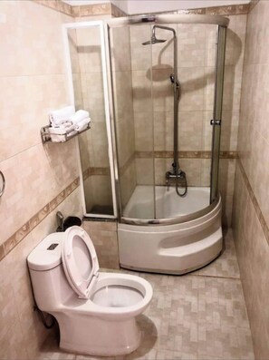 Une salle de bain avec une douche à parois de verre, des toilettes et un porte-serviettes.