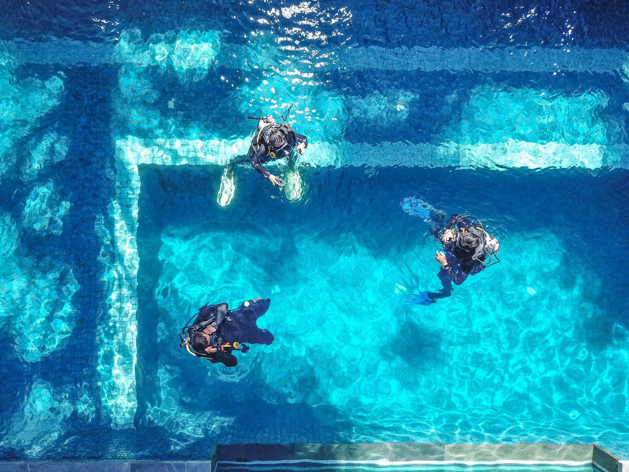An aerial view of a swimming pool with three divers.