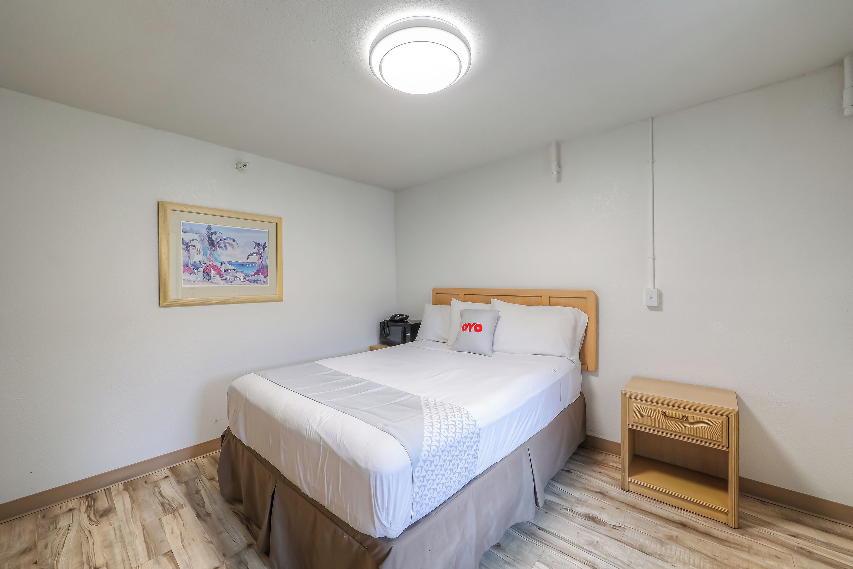 A bedroom with a bed, a nightstand, a framed picture on the wall, and a ceiling light.