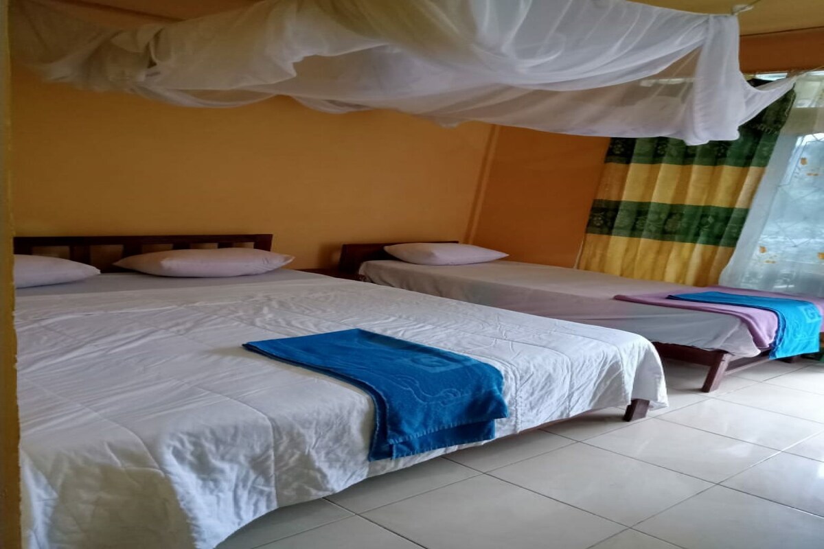 A hotel room with two beds, a canopy, and a checkered curtain.