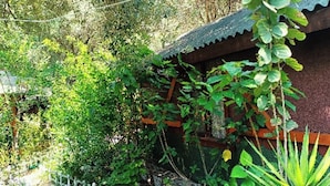 A garden with a white fence, dense foliage, and a wooden structure. - Canario Bungalows (Kemer)