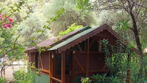 A wooden cabin with a sloped roof, surrounded by lush greenery and trees. - Canario Bungalows (Kemer)
