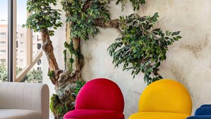 Una habitación con un gran tronco de árbol, una silla roja, una silla amarilla y una silla azul.