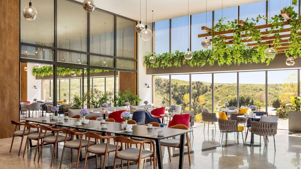 Un comedor amplio con ventanas grandes, muebles modernos y plantas colgantes.