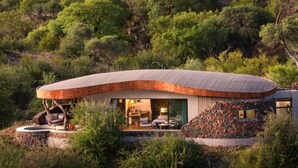 Un edificio moderno con techo curvo y fachada de piedra, rodeado de abundante vegetación.