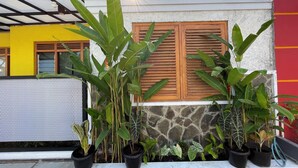 A building with a stone wall, wooden shutters, and potted plants. - Serene 2-bedroom villa with AC in welcoming Jogja (Jogja)