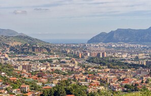 Miscellaneous - 1 bedroom pet friendly apartment in Palermo (Palermo)