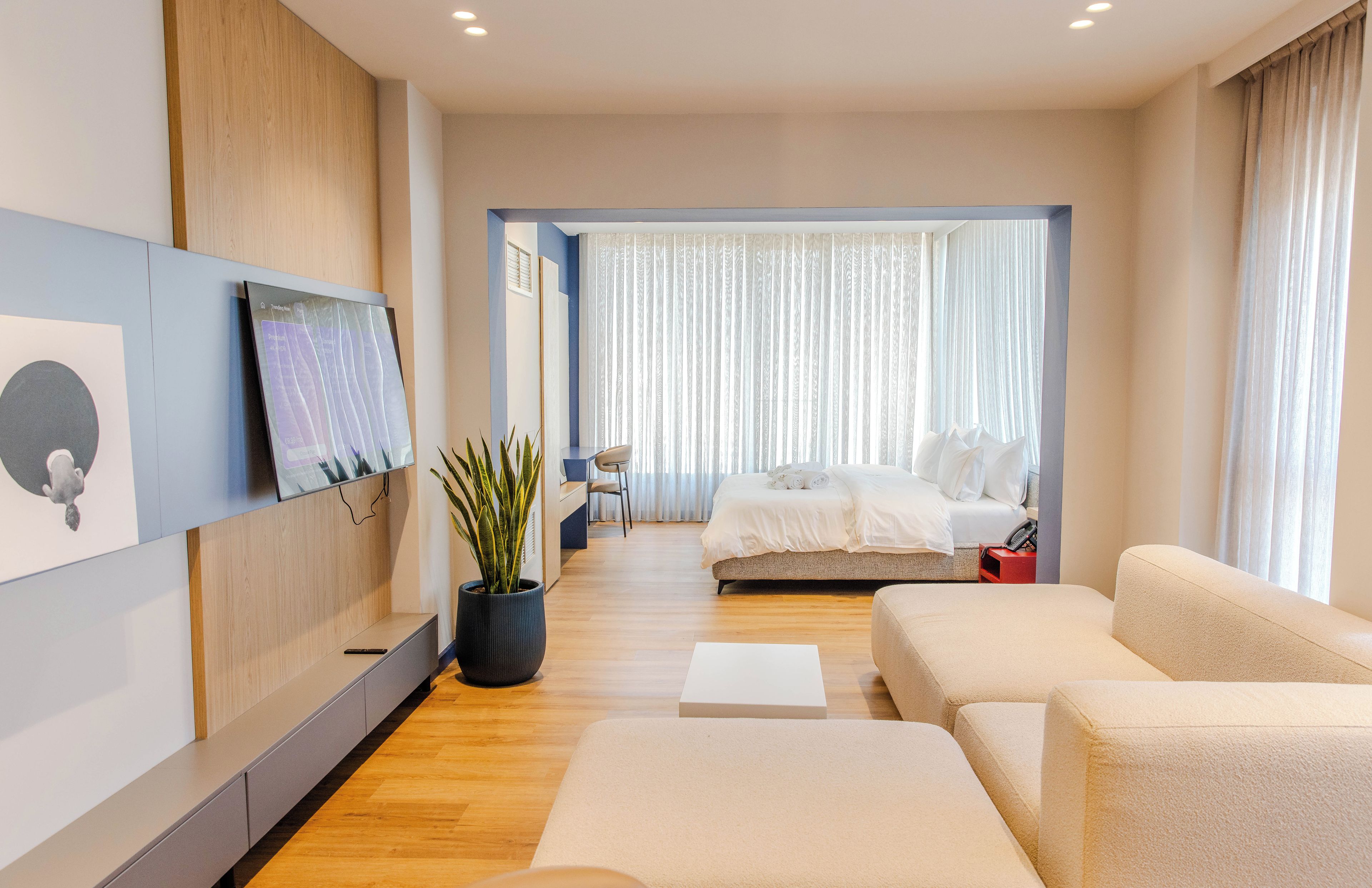 Habitación de hotel moderna con cama, sofá, televisor montado en la pared y planta en maceta.