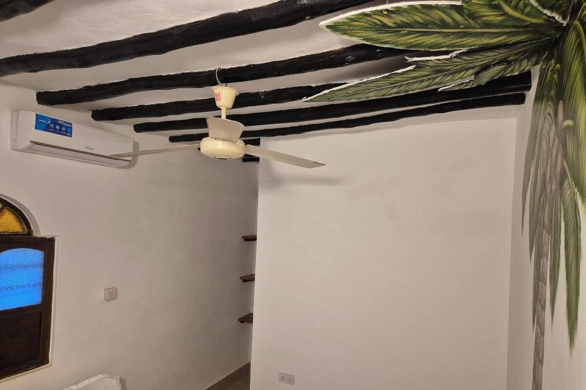 A room with a ceiling fan, a wall-mounted air conditioner, a window with a view, and a large plant.