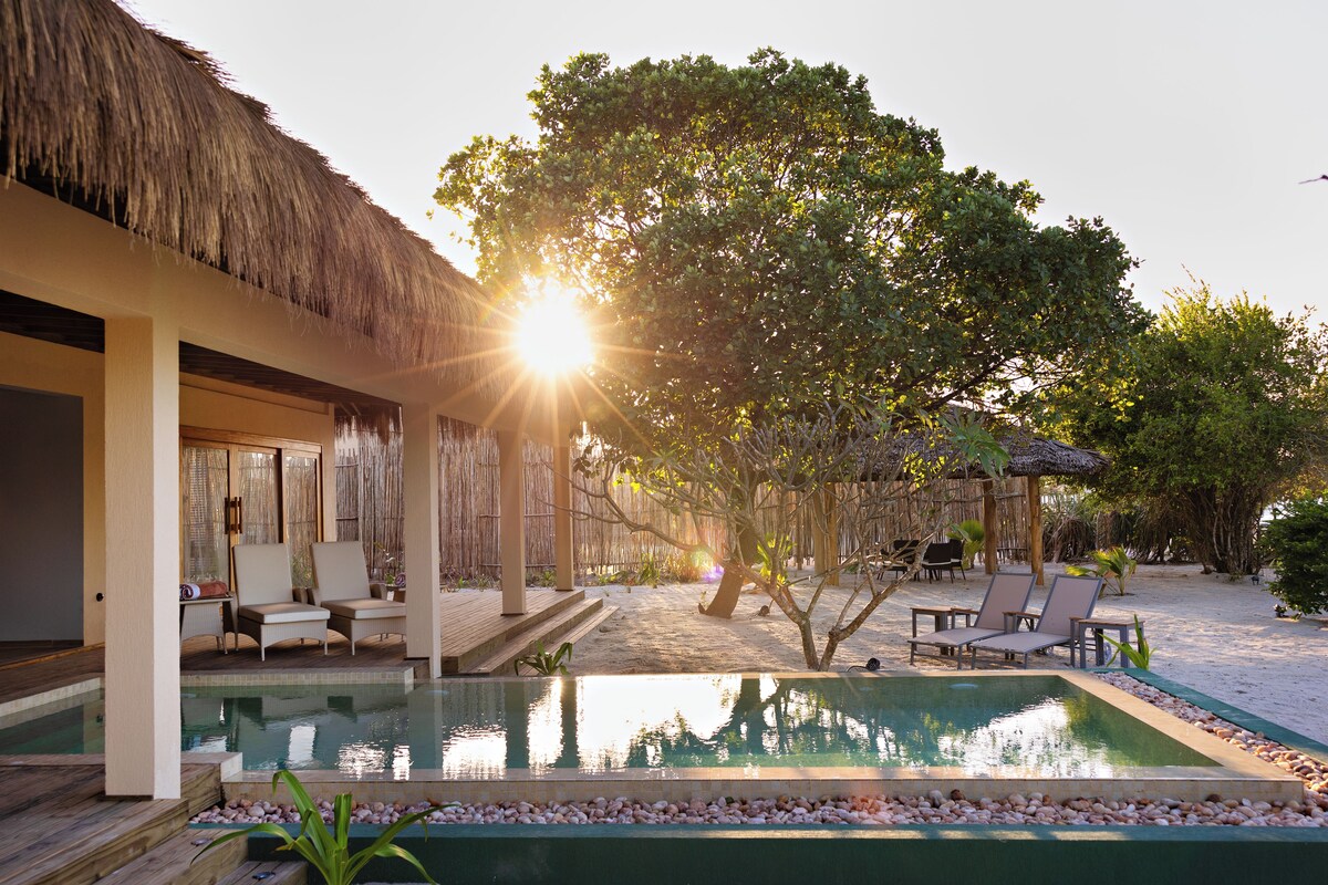 A poolside area with lounge chairs, a thatched-roof structure, and a large tree.