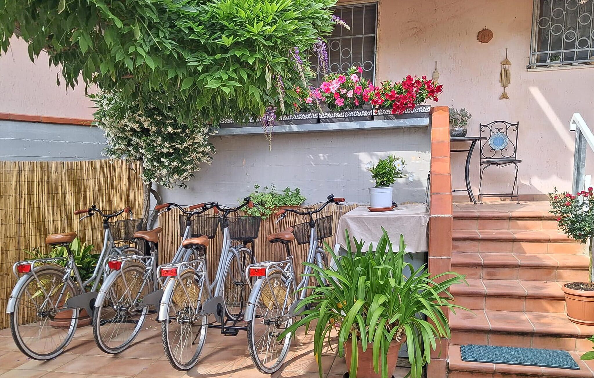 A courtyard with bicycles, potted plants, and a staircase leading to a building.