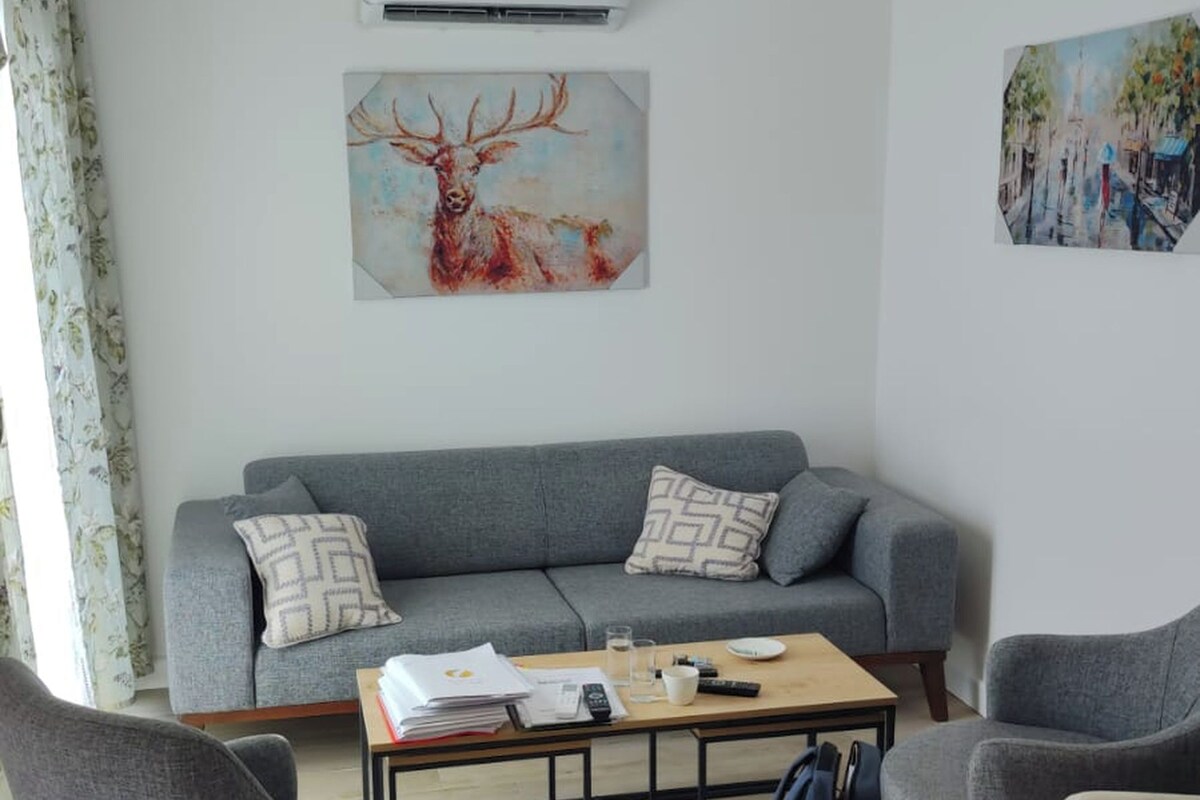 A modern living room with a grey sofa, a coffee table, and two armchairs.