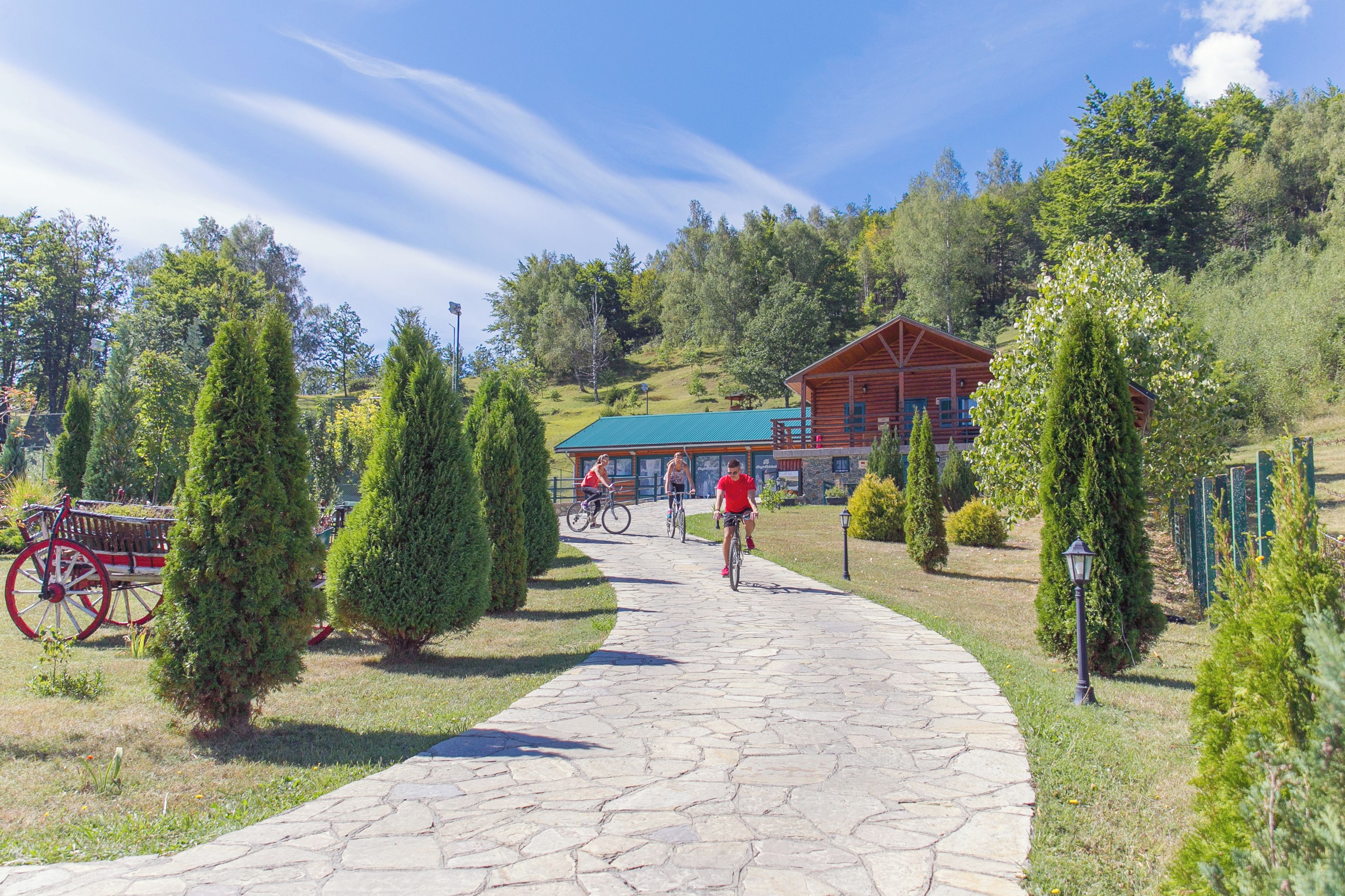 A stone pathway leading to a wooden cabin with a green roof, surrounded by trees and a clear sky.