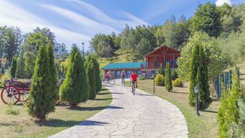 A stone pathway leading to a wooden cabin with a green roof, surrounded by trees and a clear sky.