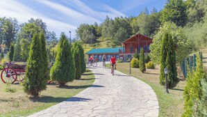 A stone pathway leading to a wooden cabin with a green roof, surrounded by trees and a clear sky. - Hotel & Resort Gacka - Imanje Rakočević (Mojkovac)