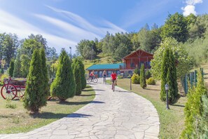 A stone pathway leading to a wooden cabin with a green roof, surrounded by trees and a clear sky. - Hotel & Resort Gacka - Imanje Rakočević (Mojkovac)