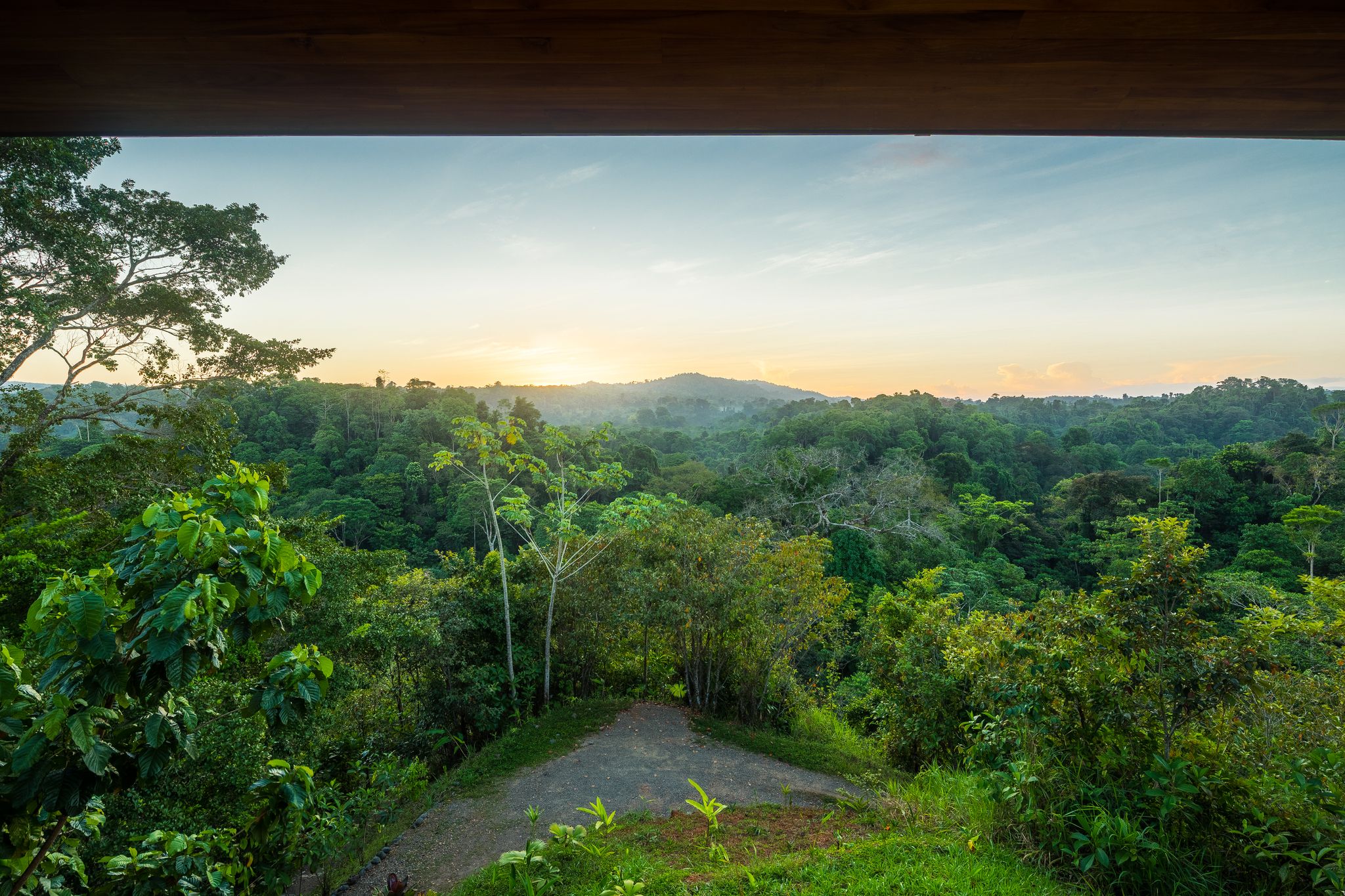 Uma trilha serpenteia por vegetação densa, com vista para uma paisagem arborizada e colinas distantes.