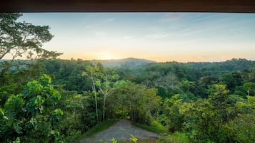 Uma trilha serpenteia por vegetação densa, com vista para uma paisagem arborizada e colinas distantes.