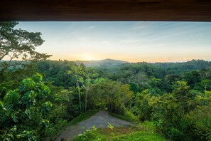 A pathway leading through dense greenery with a view of a forested landscape and distant hills. - Drake Bay Getaway Resort By Sandglass (Drake Bay)