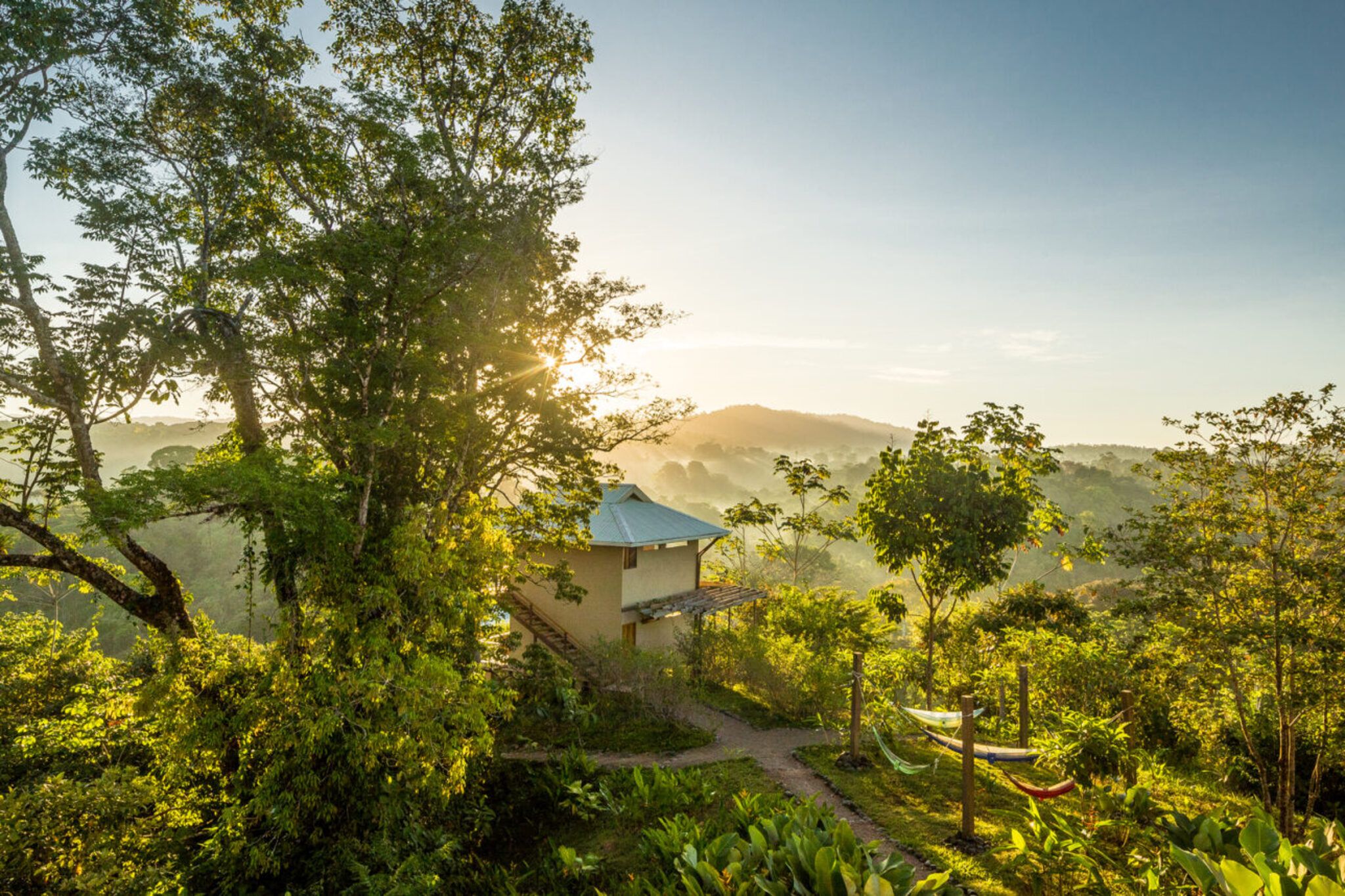A house surrounded by lush greenery with a clear view of the landscape.