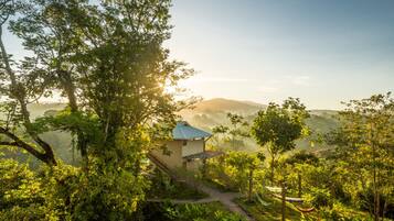 A house surrounded by lush greenery with a clear view of the landscape.