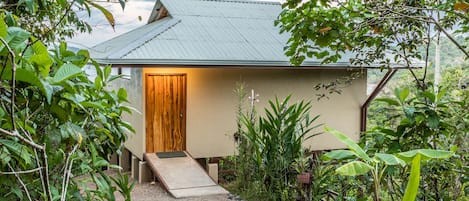 A house with a wooden door, a gravel path, and lush greenery.
