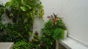 A small dog in a room with a tiled floor, a bench, and various potted plants. - Casa Laurel (Cancun)